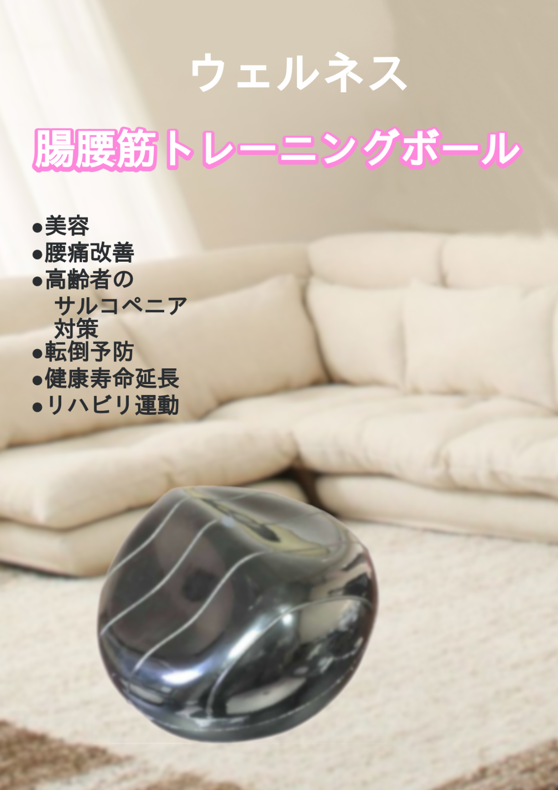 【ウエルネス】インナーマッスル　ダイエット　筋トレ ヴィセーヌボール ウエルネス】インナーマッスル ダイエット 筋トレ ヴィセーヌボール