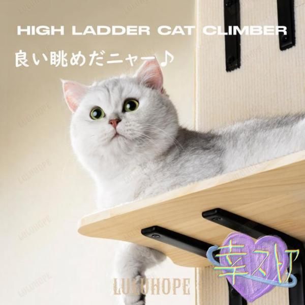 キャットタワー キャットウォーク