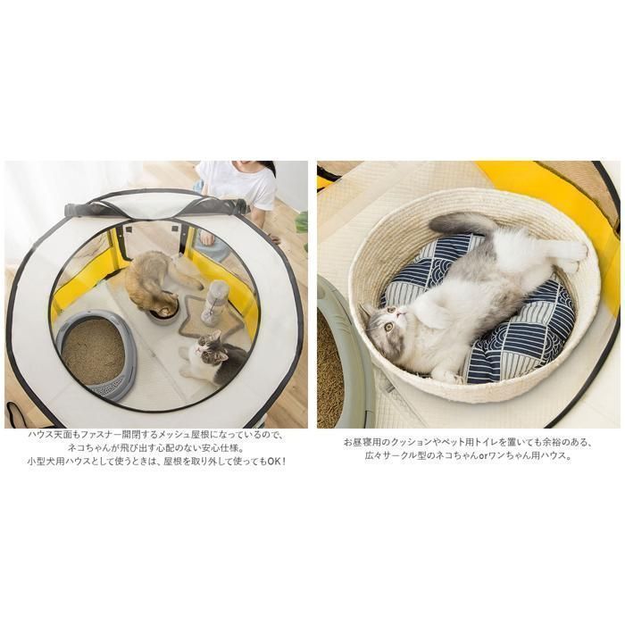キャットハウス