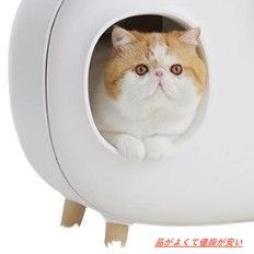 ブルー