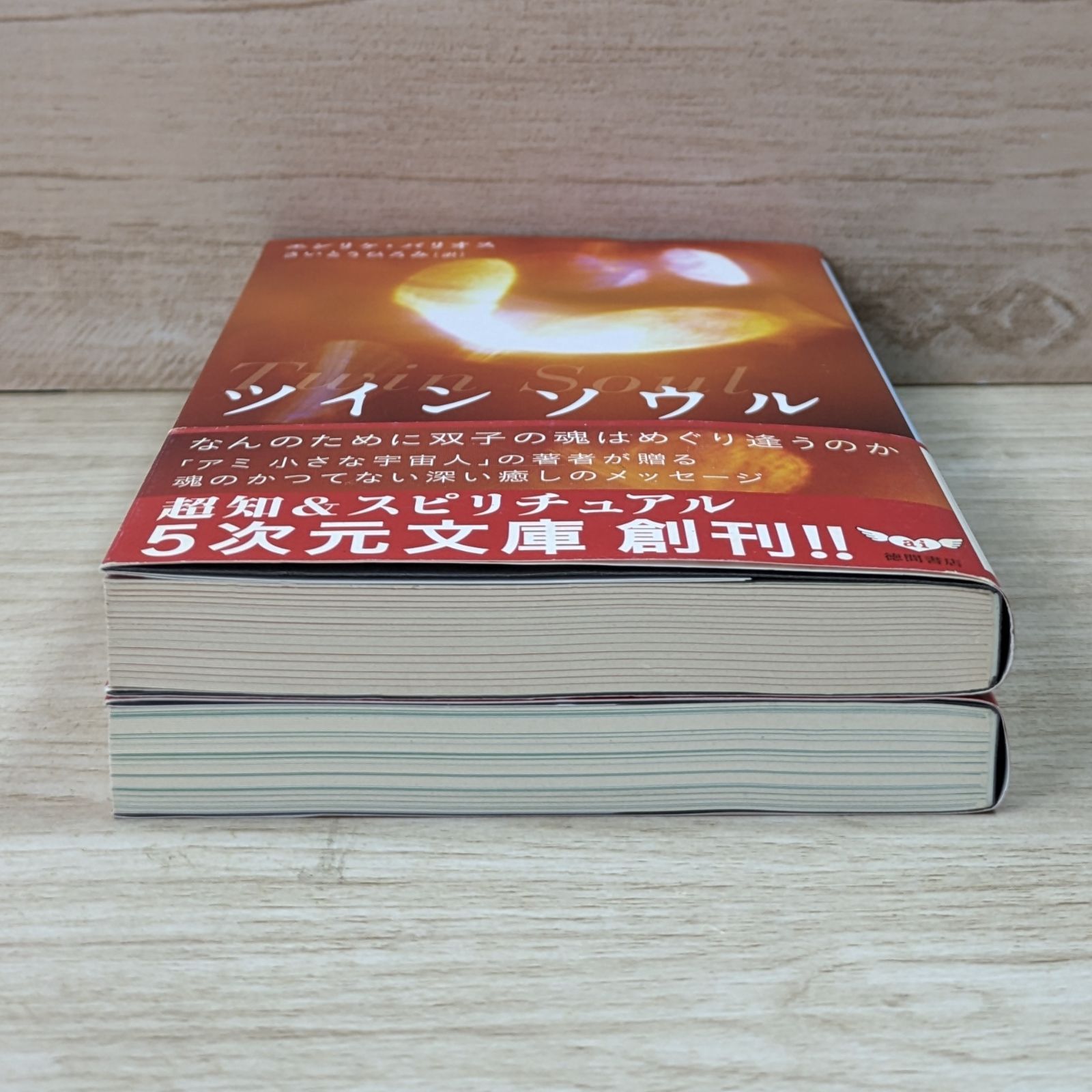 ツインソウル: なんのために双子の魂はめぐり逢うのか (5次元文庫
