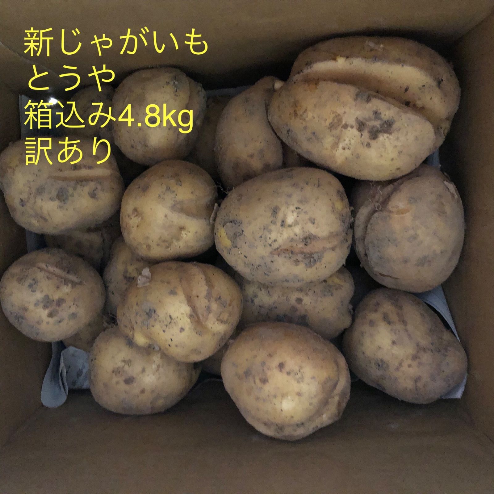 訳あり 新じゃがいも とうや 箱込み4.8kg 特大サイズ - メルカリ