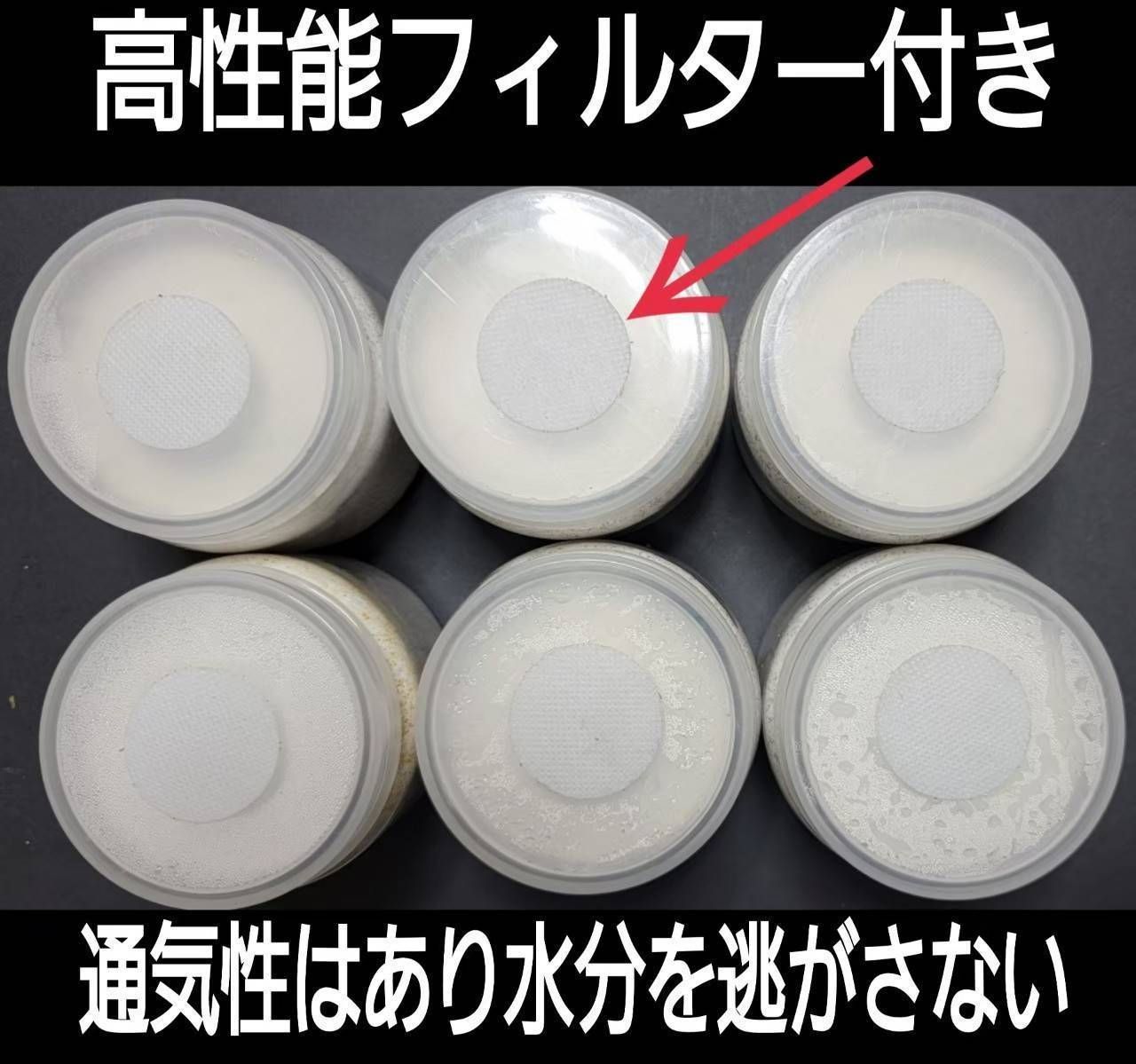 極上！カワラ菌糸瓶【10本】トレハロース、キトサン、グルテン強化配合