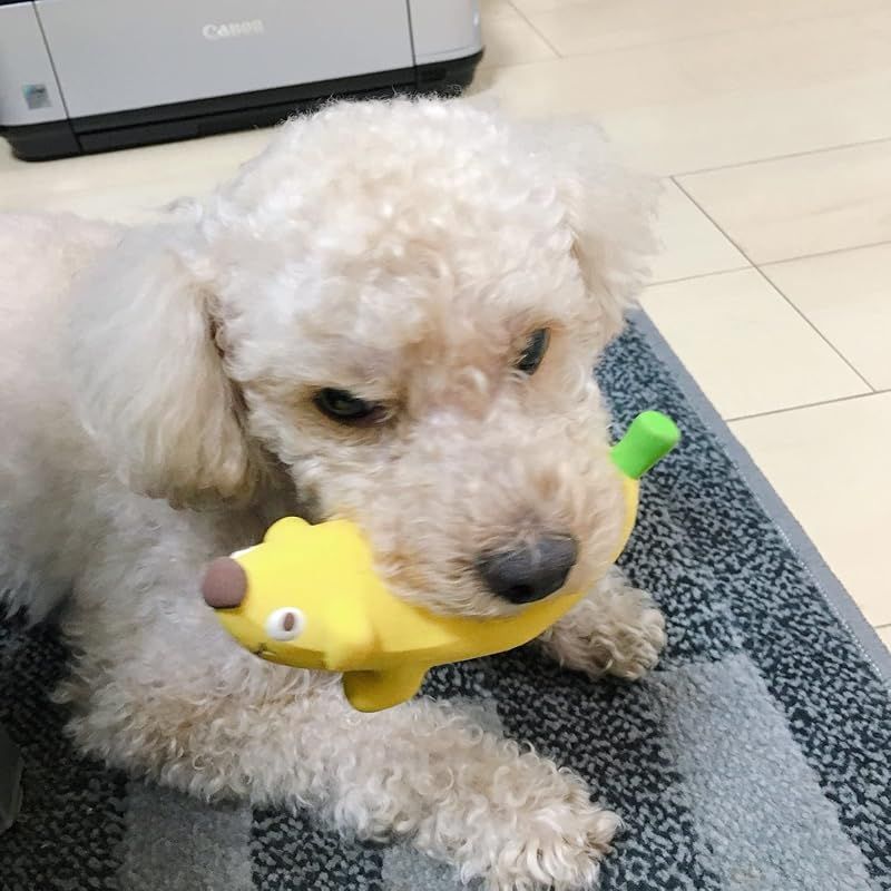 PLATZ PET SUPPLISES-FUN プラッツ 犬用おもちゃ バナナドッグ 12P セット 1 WHITEMONARCHHOTEL_COM