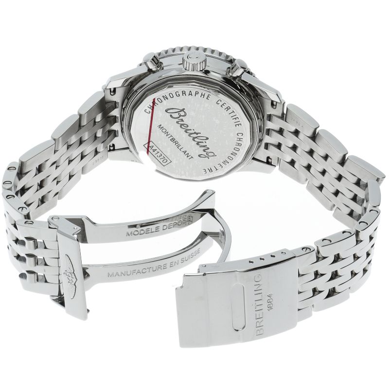 ビカクシダP. Willinckii 'Spur' pupバスケット付け 子株 P.FSQ (mg