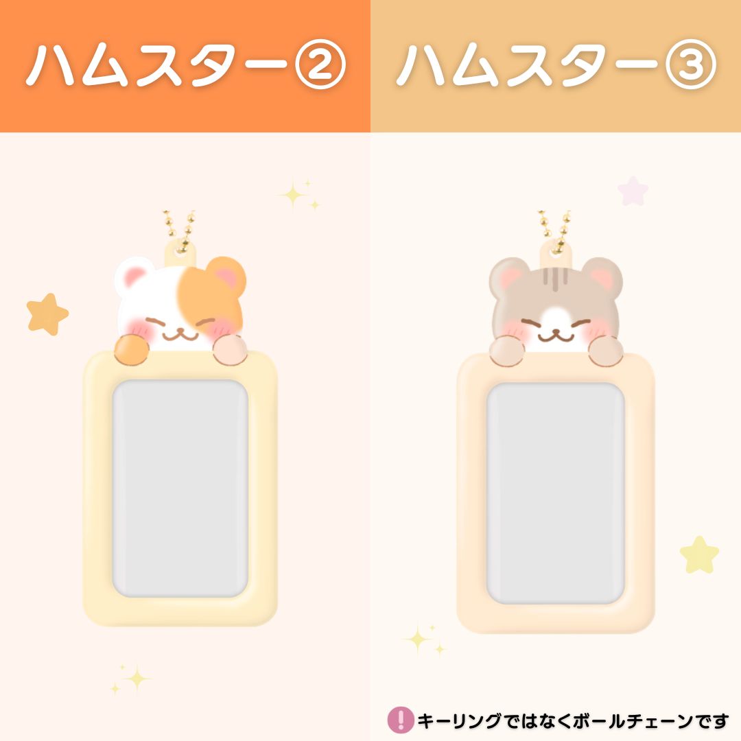 Aアニマル トレカケース フォトカードホルダー キーリング（全21種類