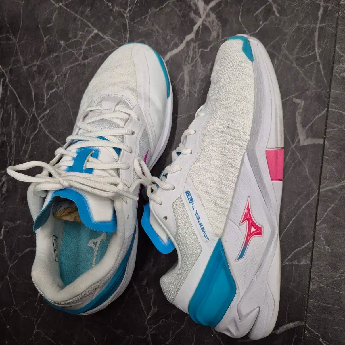 Mizuno ミズノ バドミントンシューズ 245