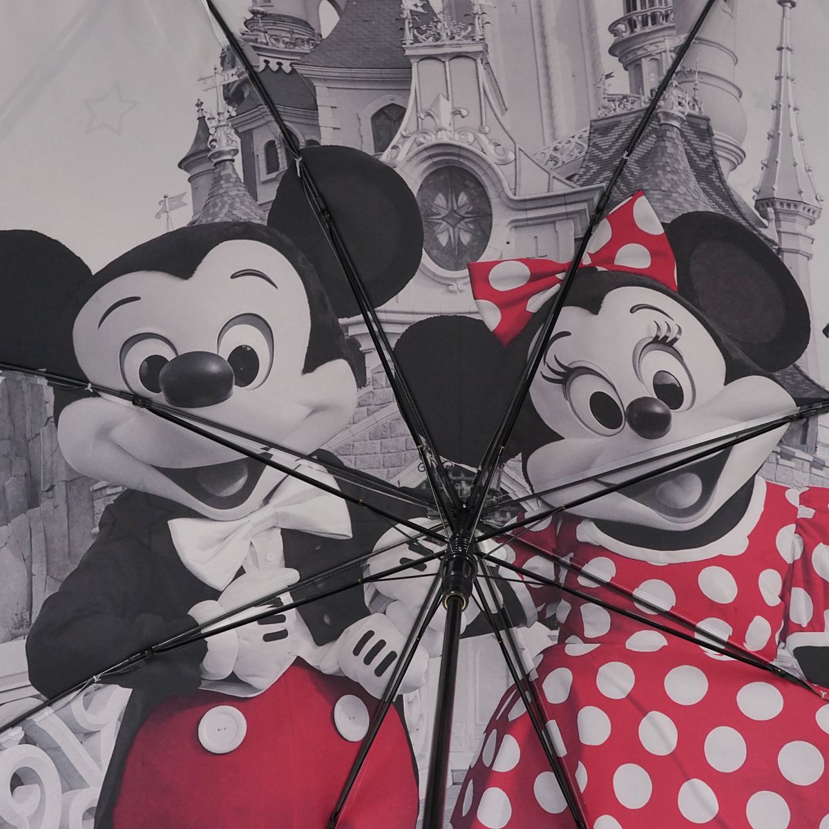Disney - 新品！ディズニーパリ　傘② 新品未使用 ディズニーランドパリ限定 イッツ・ア・スモール