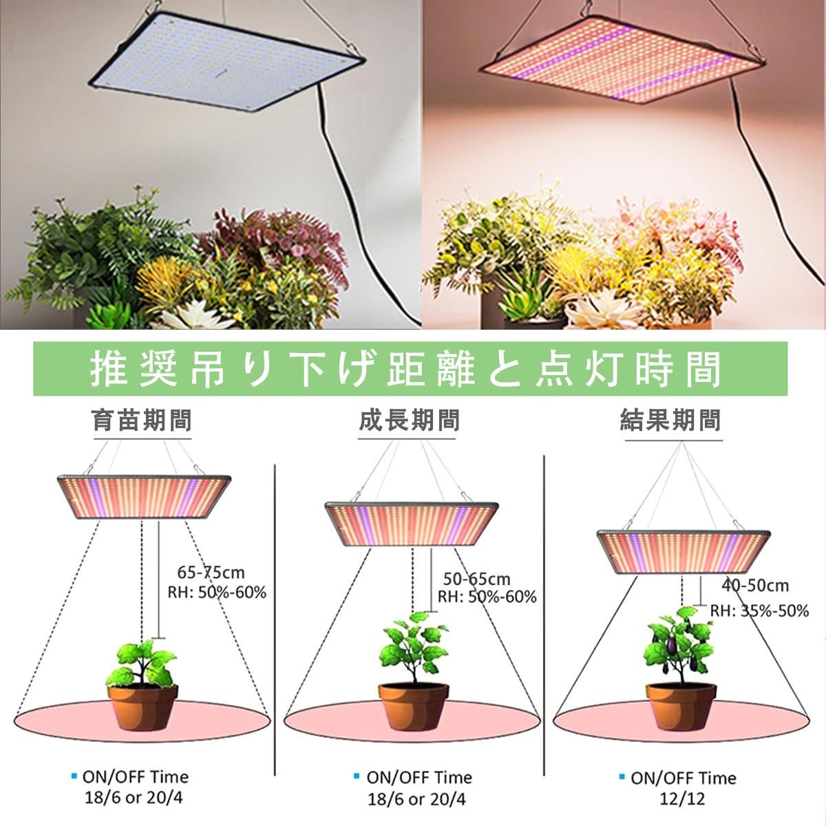 迅速発送】GREENSINDOOR 植物育成ライト LED 植物ライト36W 超薄型 500LEDs フルスペクトル 室内栽培 観葉植物 育成ライト  水耕栽培 多肉植物 育成用 LED パネル 植物用ledライト 植物栽培ライト 吊り下げアクセサリー付き - メルカリ