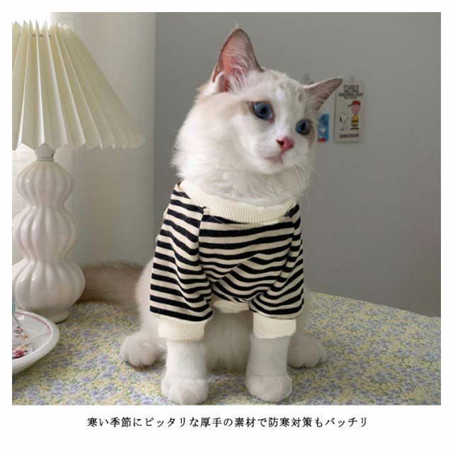 猫の服