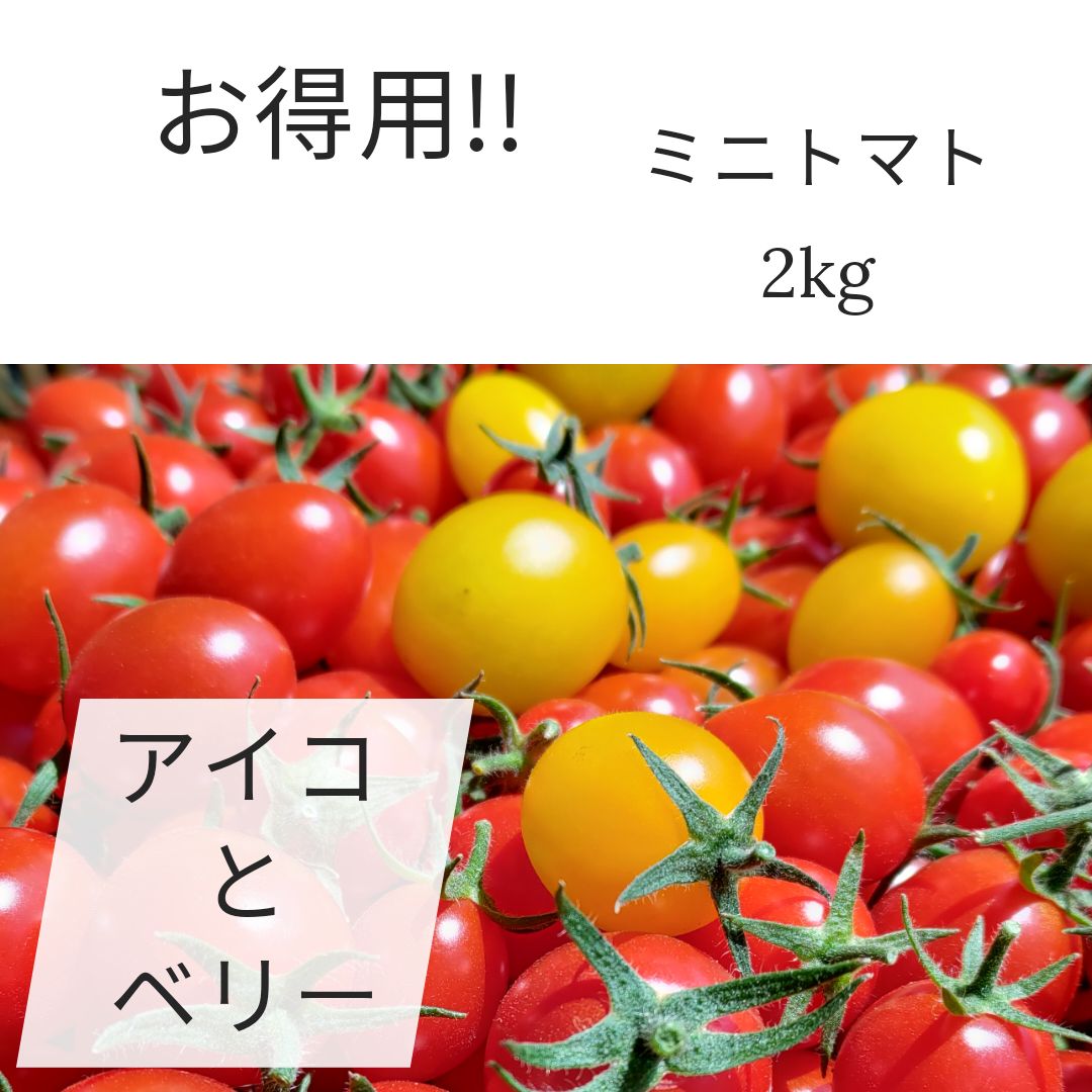 お得なミニトマト2kg　美野里ファーム　メルカリ