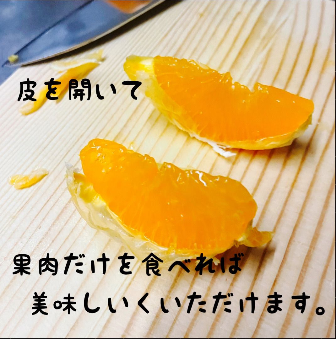 のサムネイル