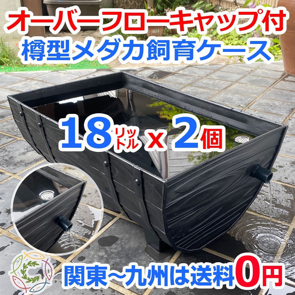 メダカ飼育ケース【60㍑トロ舟 2個 オーバーフローキャップ付