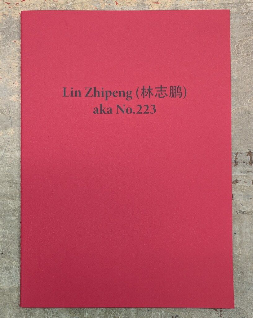 Lin Zhipeng (aka 223) Mysterious Skin
