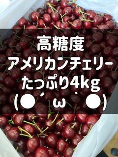 アメリカンチェリー4kg さくらんぼサクランボ