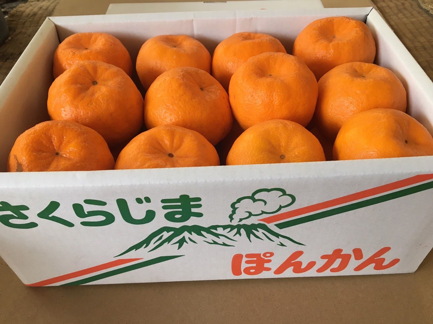 ポンカン ぽんかん 2L 24玉入り(前後) 鹿児島県産(桜島) 特産品 - えい