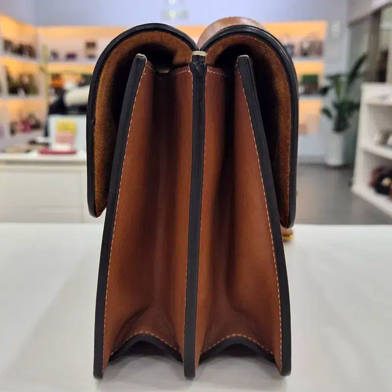 セリーヌ シメトリカル ミディアム クロスバック 176413 DECORATOM_COM_BR