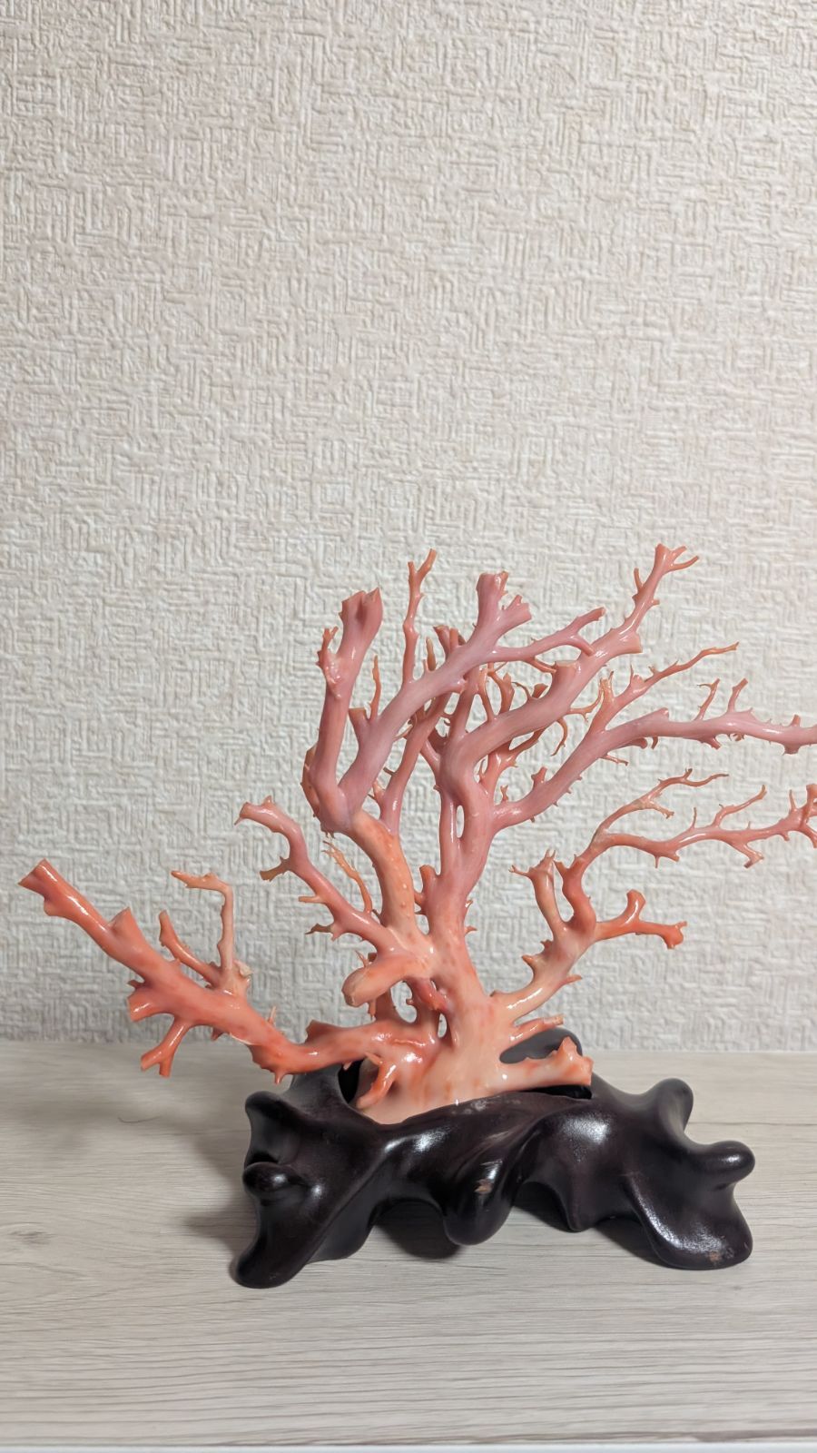 珊瑚 本珊瑚