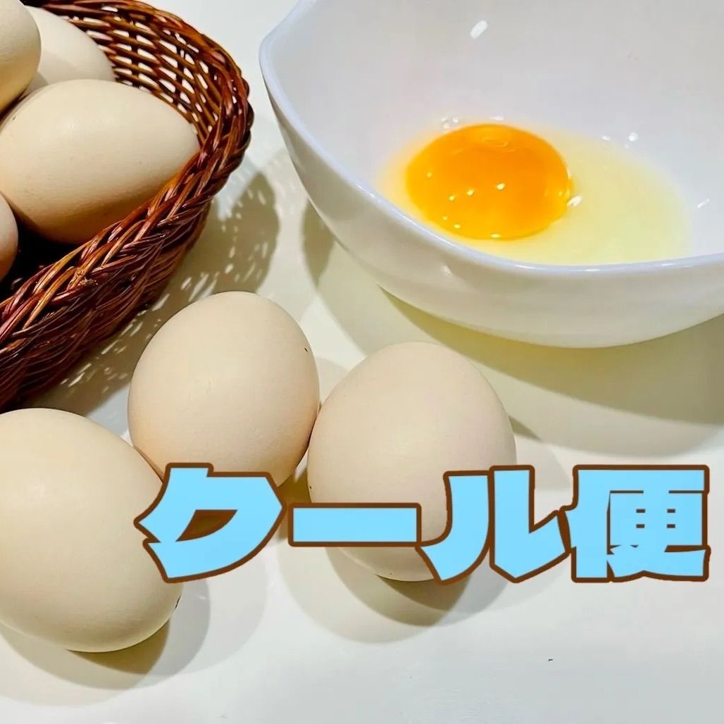 ★カイ★東京烏骨鶏有精卵30個★送料無料～★落札後生みたての卵を 東京烏骨鶏 烏骨鶏 6個 放し飼い 有精卵 種卵 【送料無料