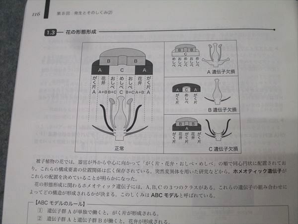 鉄緑会 高3 生物発展講座/問題集 テキストセット【書き込み無し】 2022 計2冊 040M0D 鉄緑会 高3 生物発展講座/問題集 テキストセット【書き込み無し