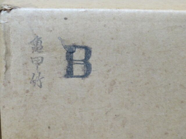 五月◆特売品 亀甲竹