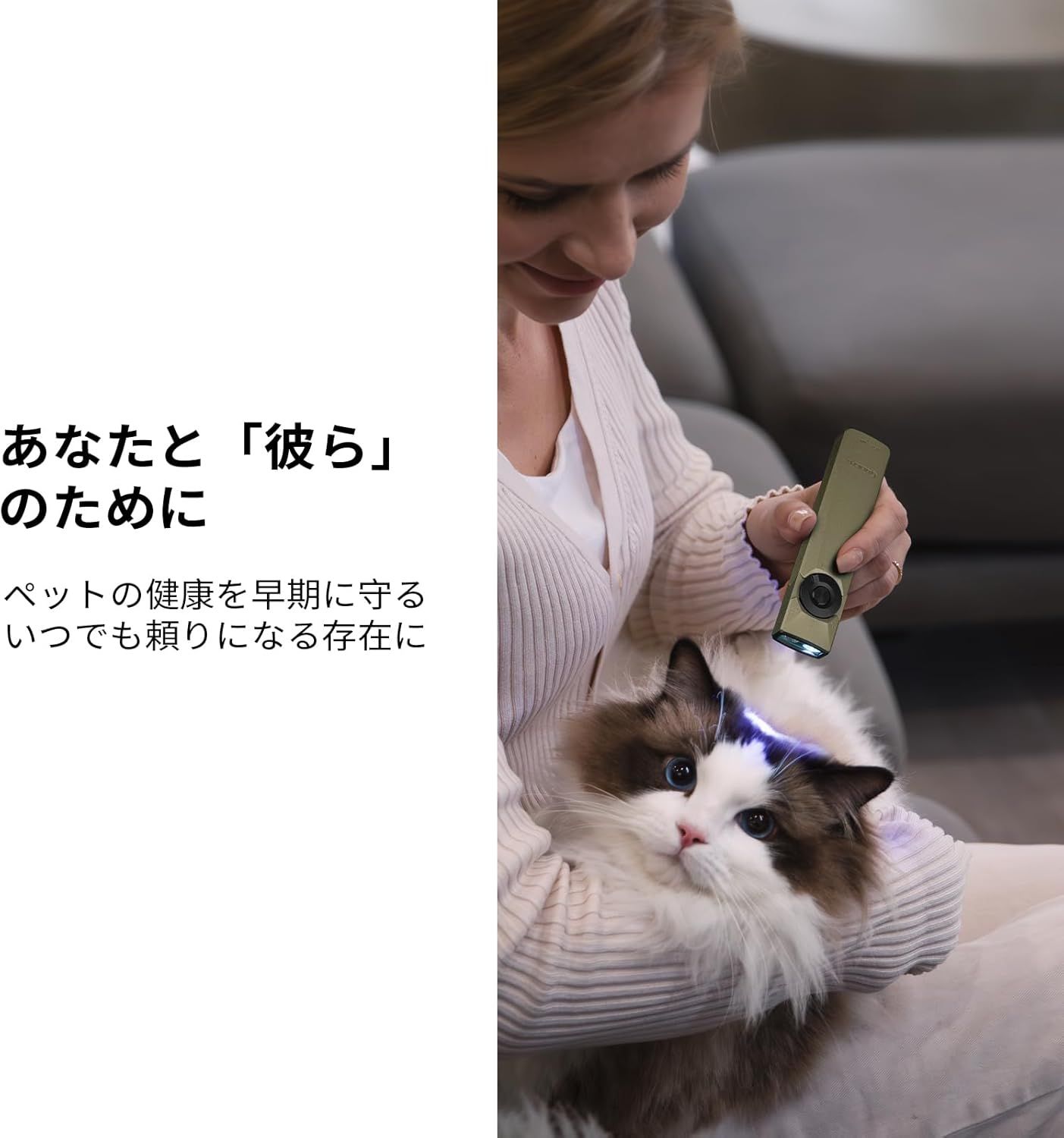 ニュートラルホワイト