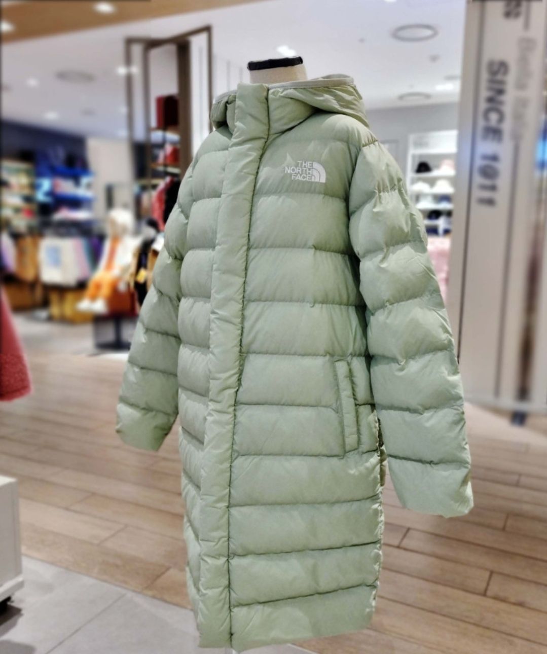 The North Face THE NORTH FACE ノースフェイス 人気商品 子供 KIDS 