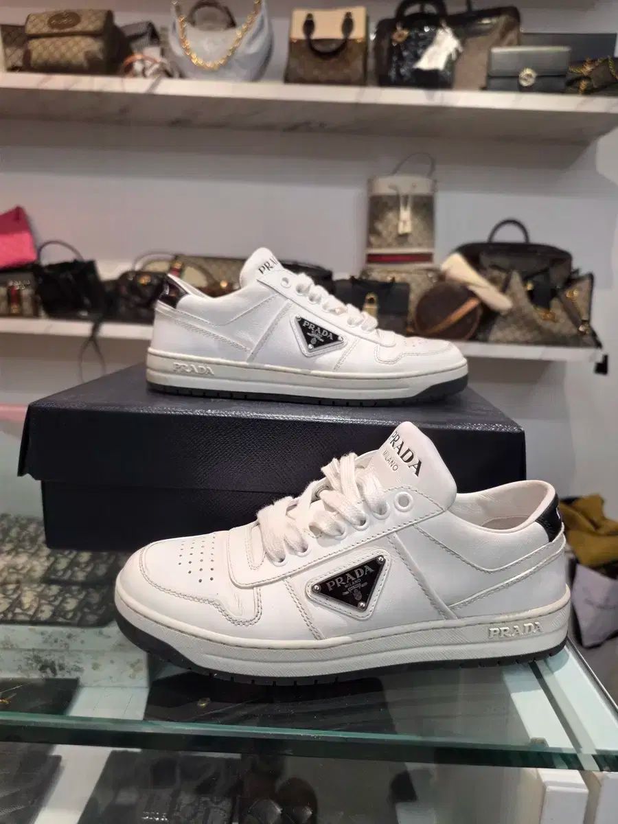 35 5 ） PRADA(プラダ) ダウンタウン 三角ロゴ スニーカーズ 白