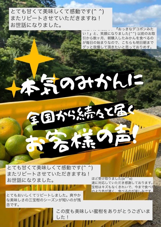有田みかん ミカン