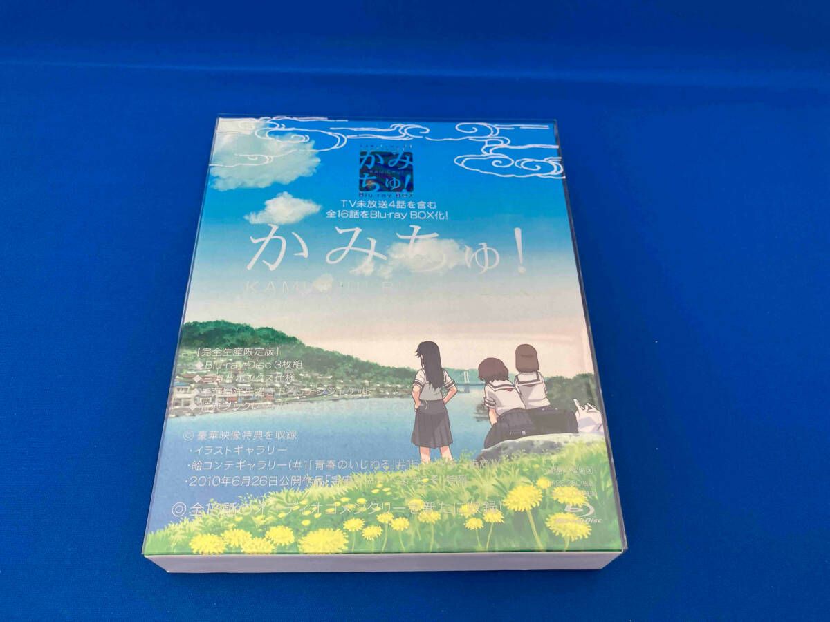 逐条解説短期社債等振替法