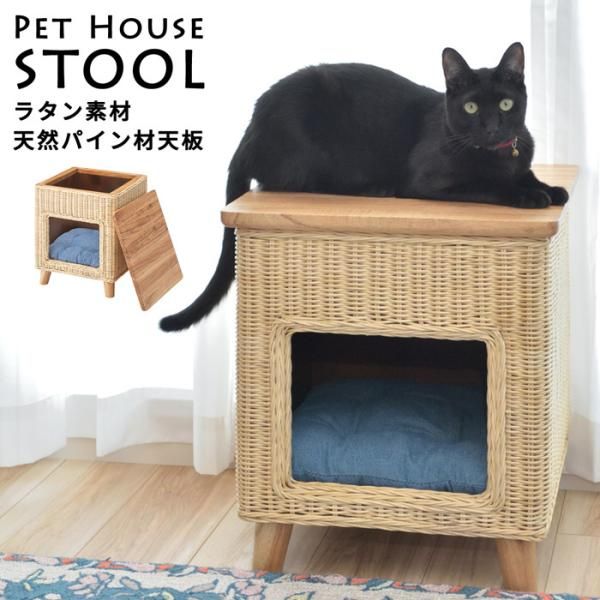 ネコ 猫