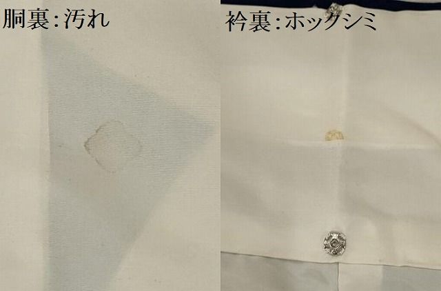 平和屋着物□豪華振袖 駒刺繍 舞花文 金銀彩 正絹 逸品
