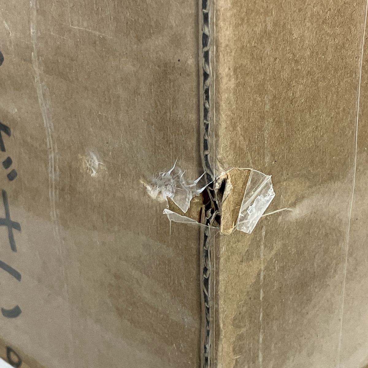 TOP STAR 500 プロジェクター用 スクリーン 自立式 小型 家庭用 ♥ Y10033199 WWW_NOITHATQUANGTHANH_NET