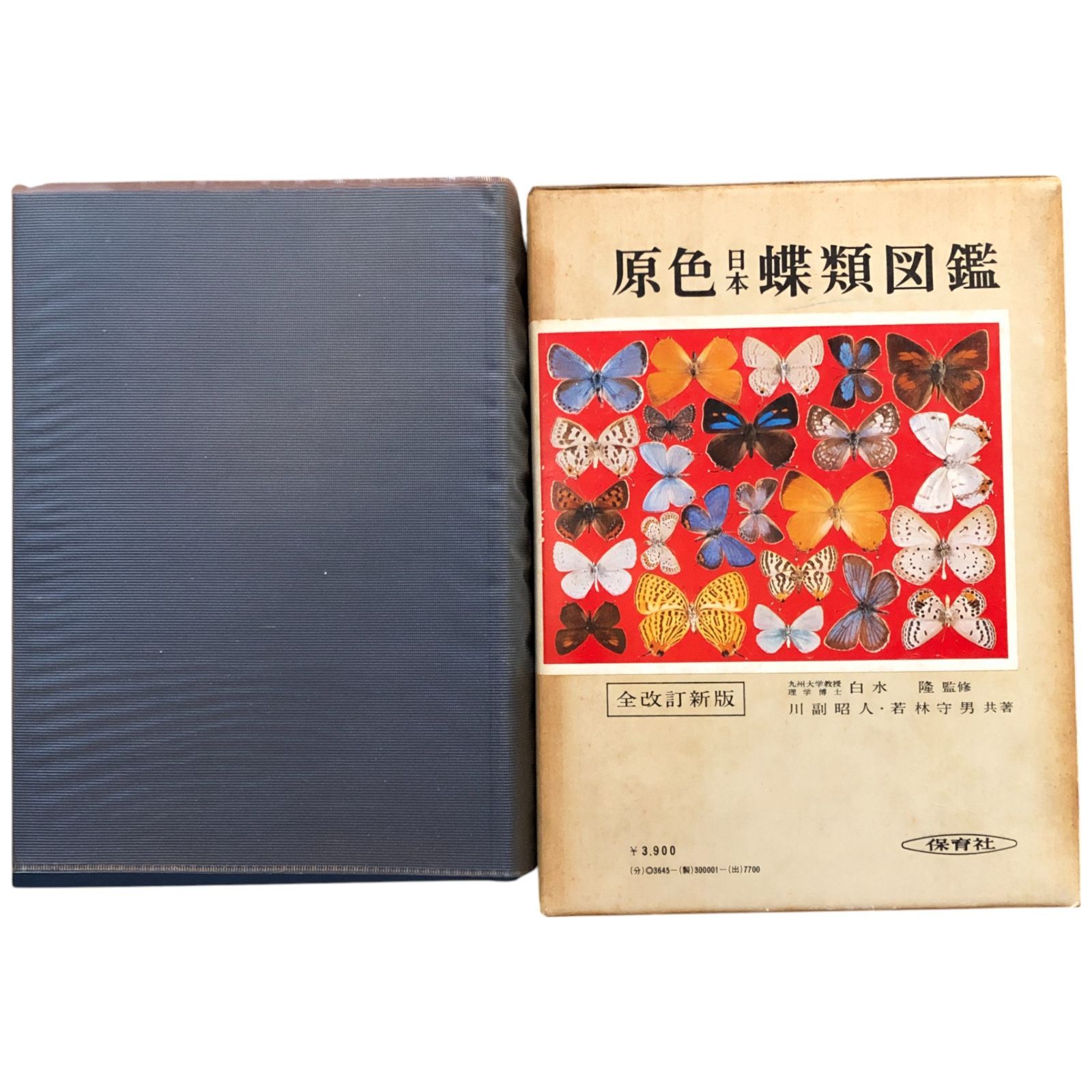 原色 日本 蝶 図鑑 原色日本蝶類幼虫大図鑑 1・2 2冊セット