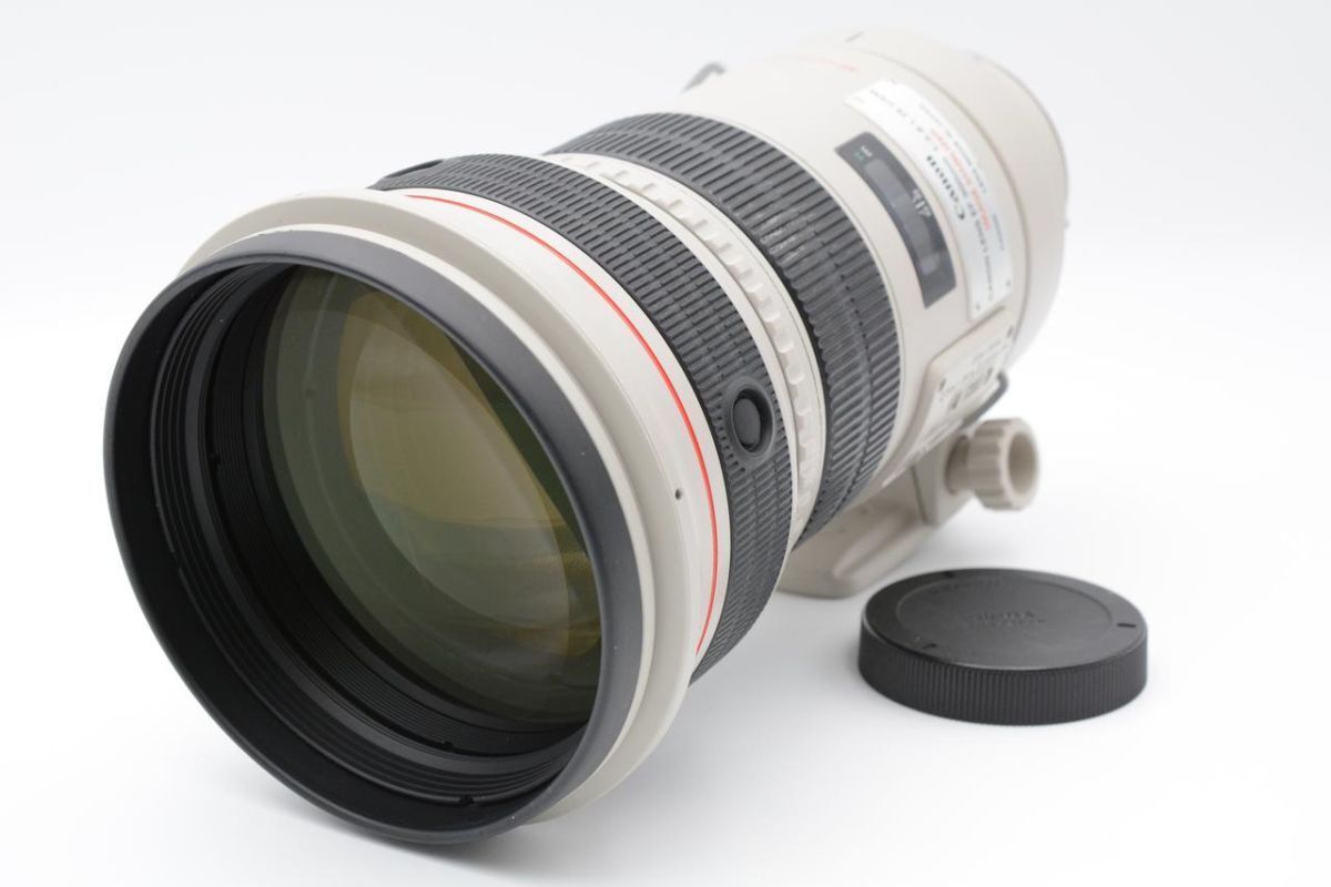 Canon 望遠ズームレンズ EF-M55-200mm F4.5-6.3 IS STM ミラーレス専用 EF-M55-200ISSTM Canon 望遠ズームレンズ EF-M55-200mm F4.5-6.3 IS STM(シルバー