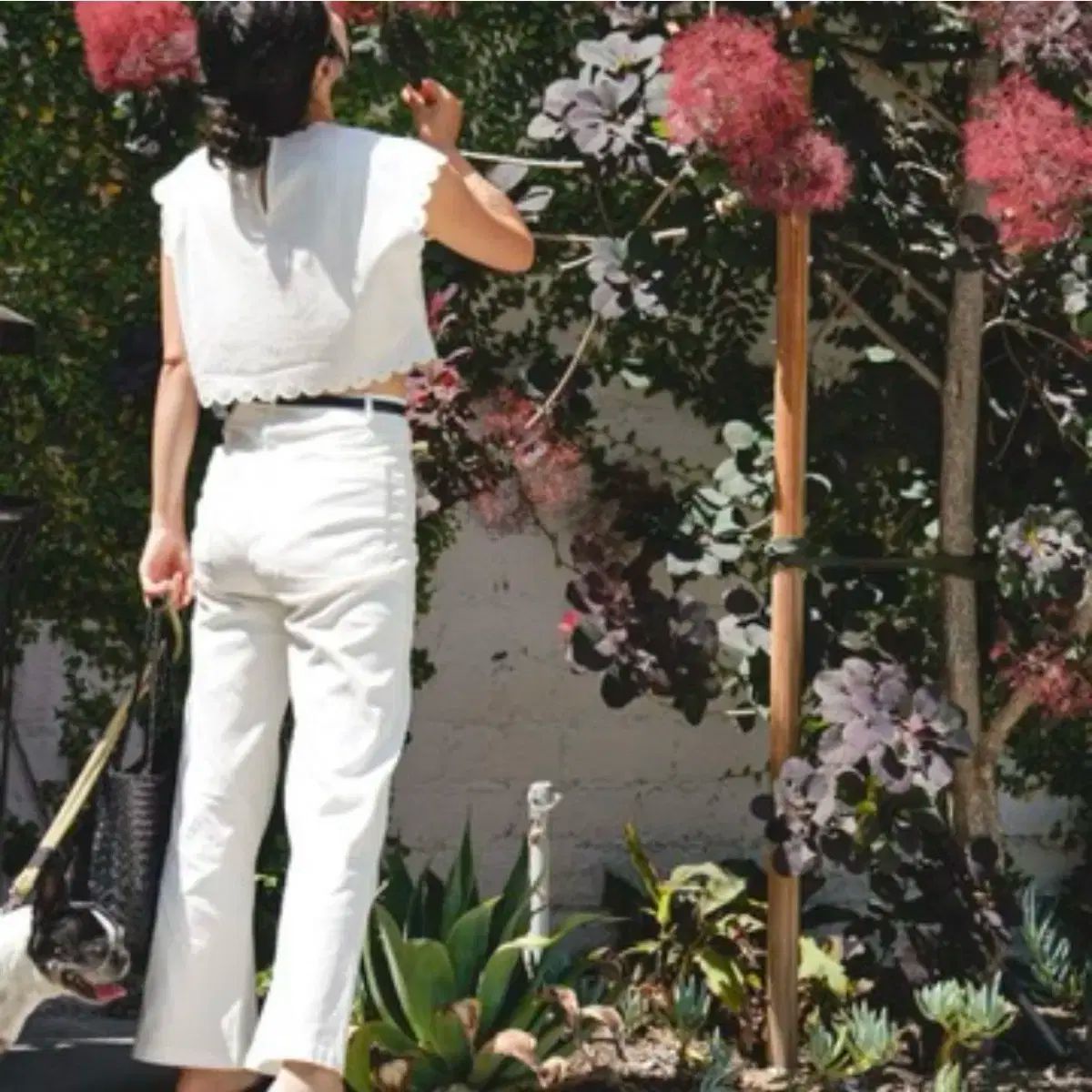 la ルイジアナ州ヨダママ