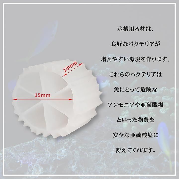 微生物 床