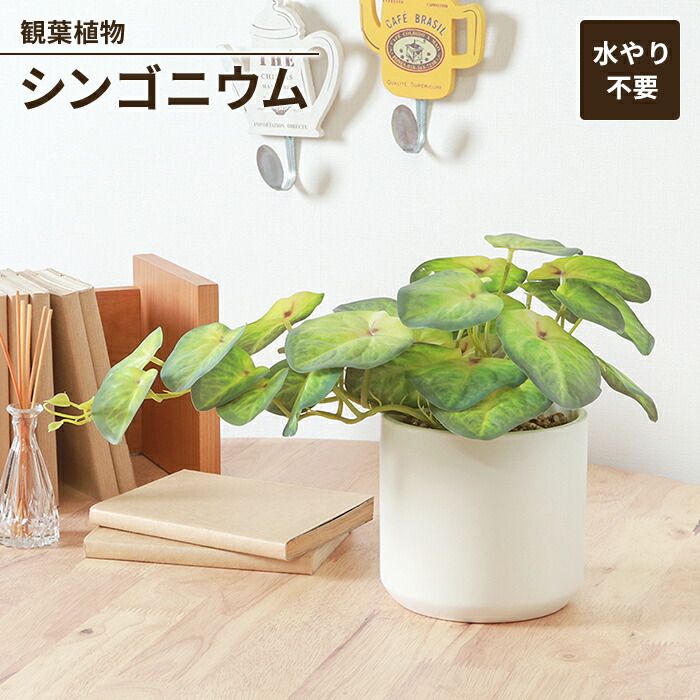 俊媳妇不锈钢揉面機 ステンレス電動生地伸ばし機 製麺機 ラーメン 餃子皮