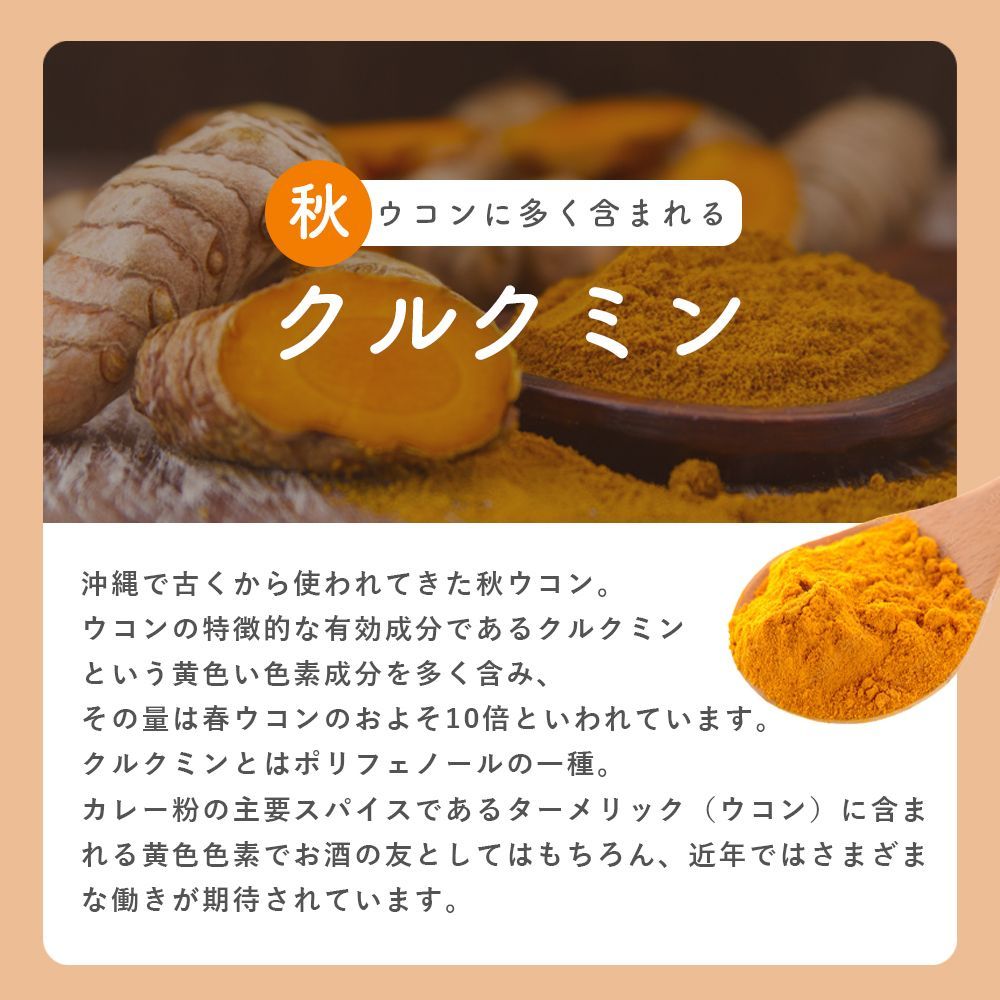 クルクミン 肝臓