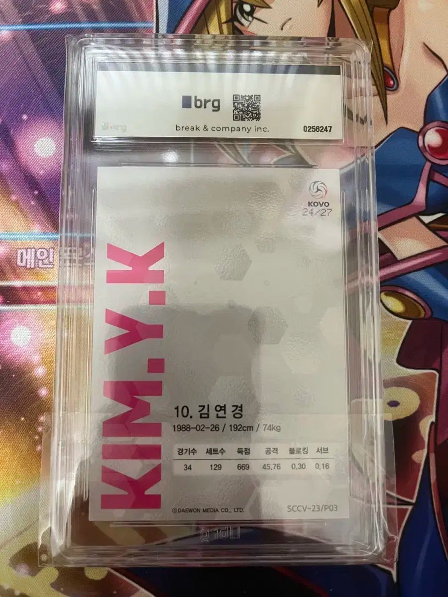 バレーボール キム ヨンギョン 直筆 サイン カード 2025 SCC KOV