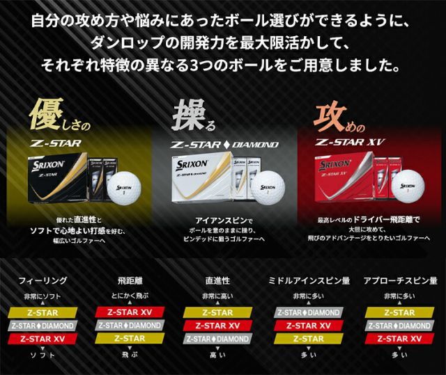 2025 モデル日本