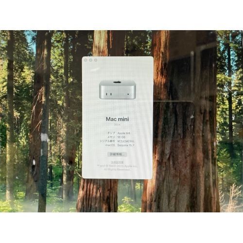 Apple アップル Mac mini 2025 SSD 256GB Apple M4チップ メモリ16GB OS Sequoia 15.6.1 リユース△