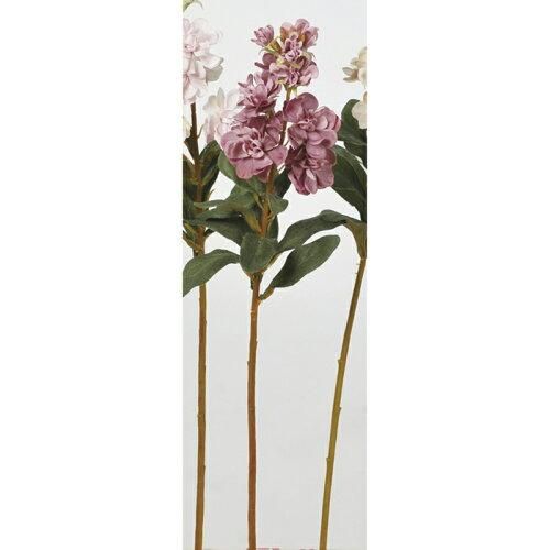 アスカ Asca ストック A-32989-055 入数 12