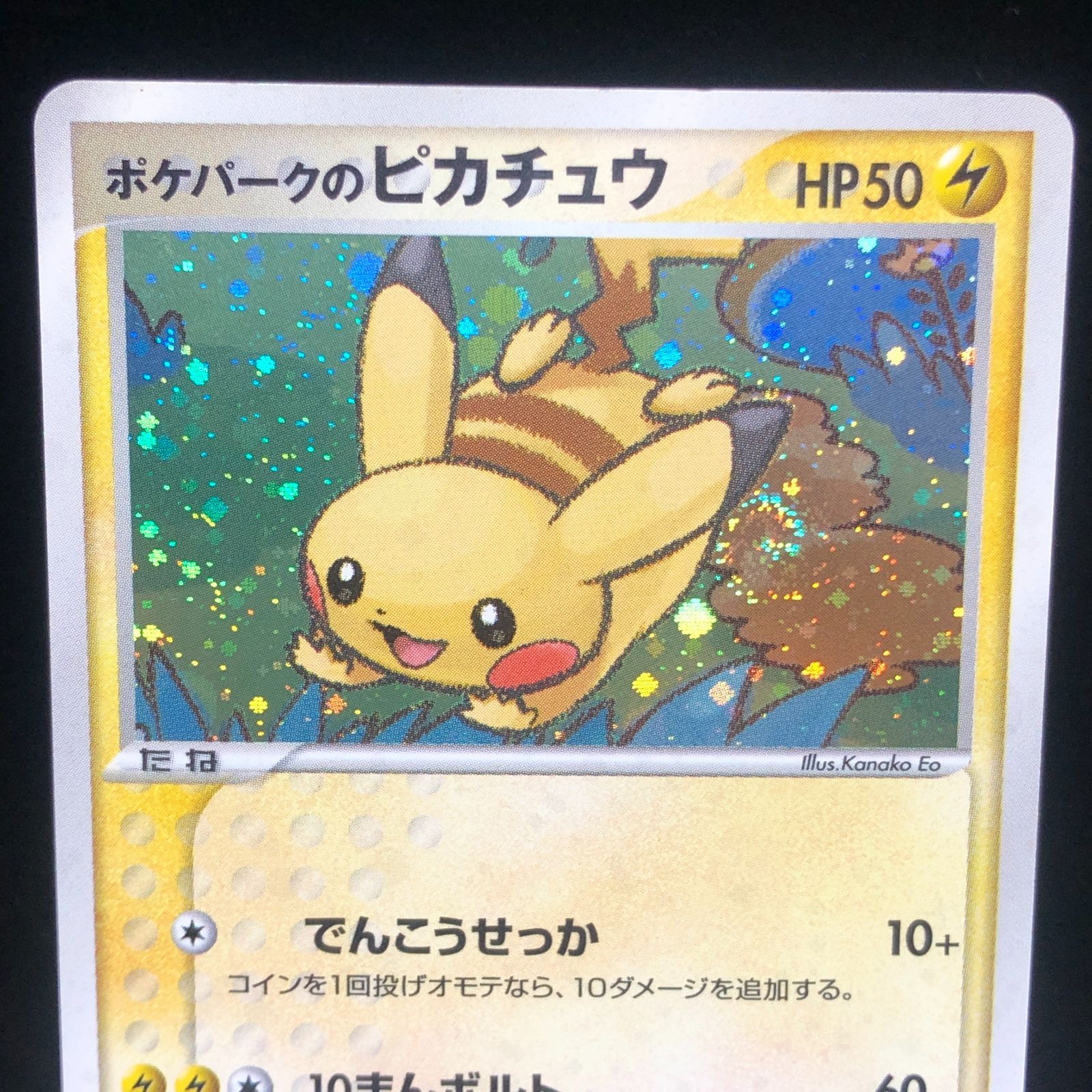 希少品　ポケパークのピカチュウ　004/009　Pokémon　ポケモンカード 送料無料】ポケモンカード ポケパークのピカチュウ【P】{004/009