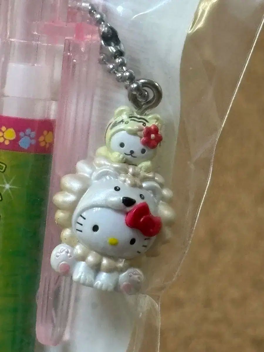 ≧∇≦）多肉植物 ハオルチア 瑞鶴錦 選抜美斑 大株