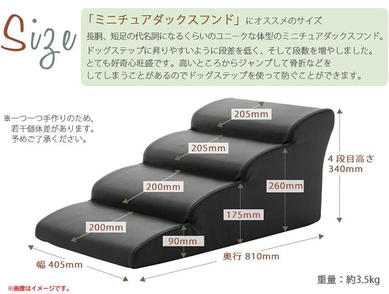 ミニチュアダックスフンドモデル
