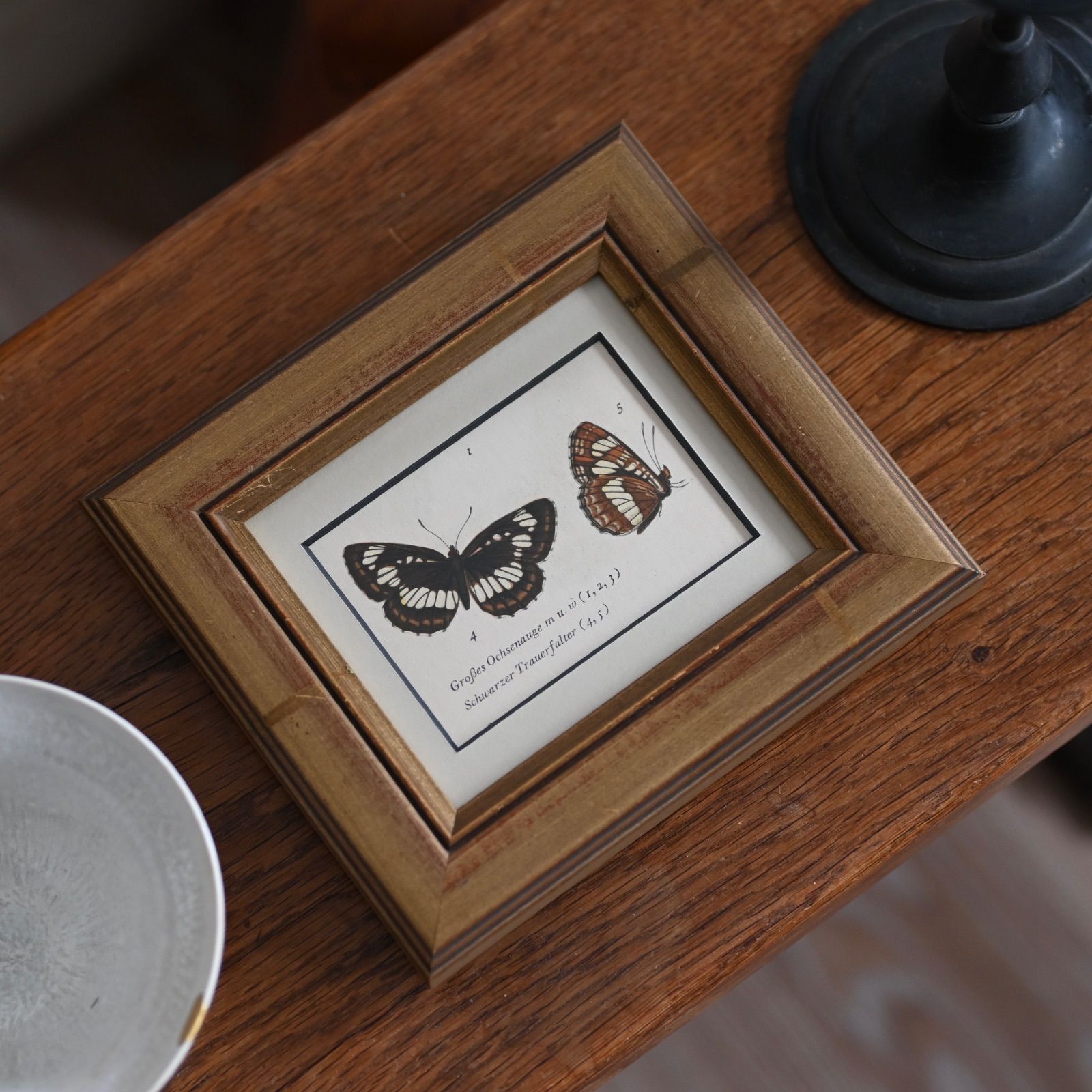 ヴィンテージフレーム「フタスジチョウ」希少なヴィンテージ図鑑の