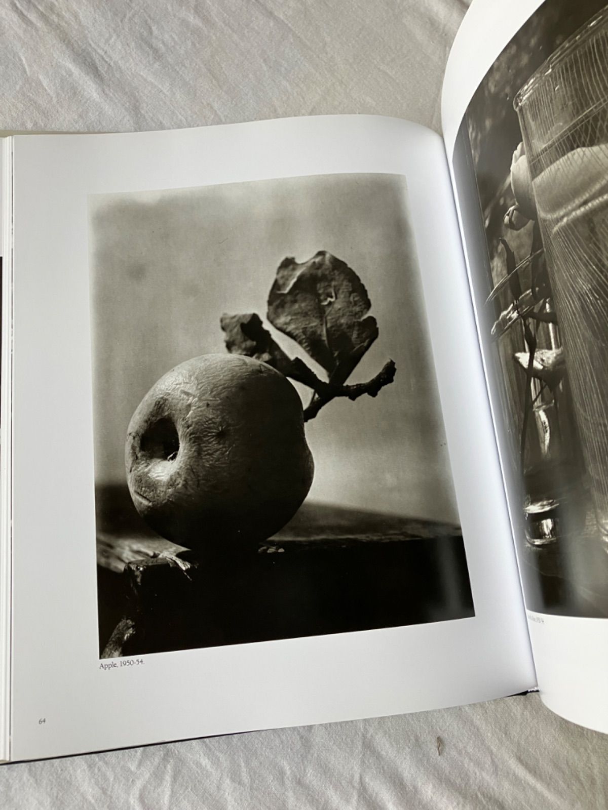 【Josef Sudek: Poet of Prague 】ヨゼフ・スデック Josef Sudek: Poet Of Prague: Faroua, Anna, Sudek, Josef