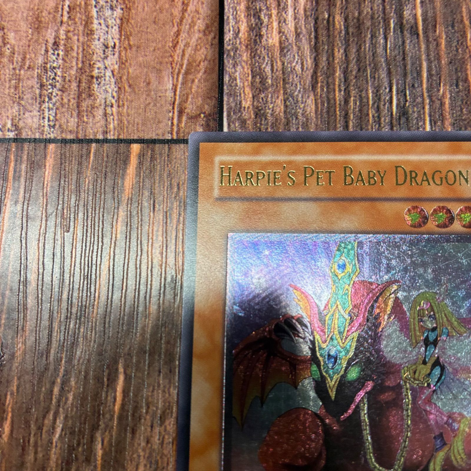 遊戯王 英語版 EU版 ハーピィズペット仔竜 レリーフ