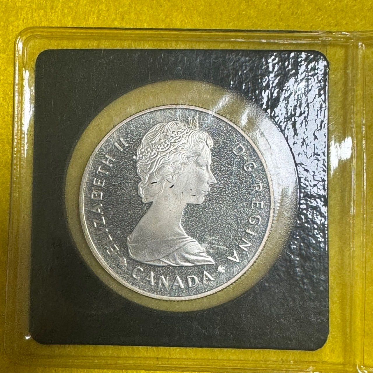 1985年 カナダ ナショナルパーク 1ドル 硬貨 カナダ 1985年 1